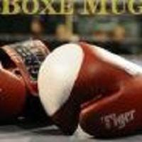 Boxe Mugello