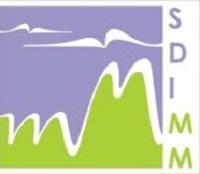 Logo SDIMM